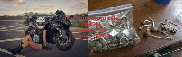 а пвп мука Кодинск