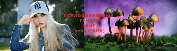 ешки Коряжма