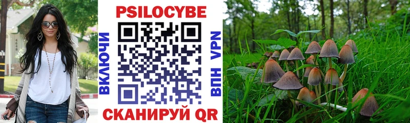 Псилоцибиновые грибы прущие грибы Кочубеевское